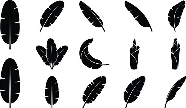 Eine Sammlung von schwarzen Silhouetten von Bananenbl&auml;ttern in verschiedenen Formen und Anordnungen.