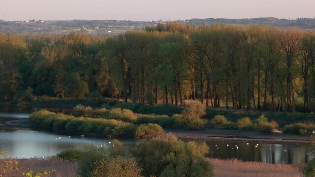 Evening panorama of Winzer Bavaria with rolling hills rural houses and golden sunset landscape view
