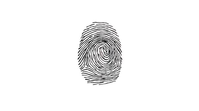 Hand-drawn, black, fingerprint, animation, on, white, background, featuring, an, organic, wiggling, sketch, effect, for, security, identity, and, creative, video, storytelling.
