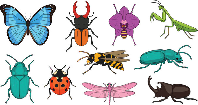 Insect and Bug Icons Set with Butterfly, Beetle, Ladybug, Mantis, and Dragonfly for Digital Media, Apps, and Websites