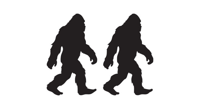 Bigfoot sasquatch silhouette walking in profile representing cryptid legend and mysterious wild creature of north forest.