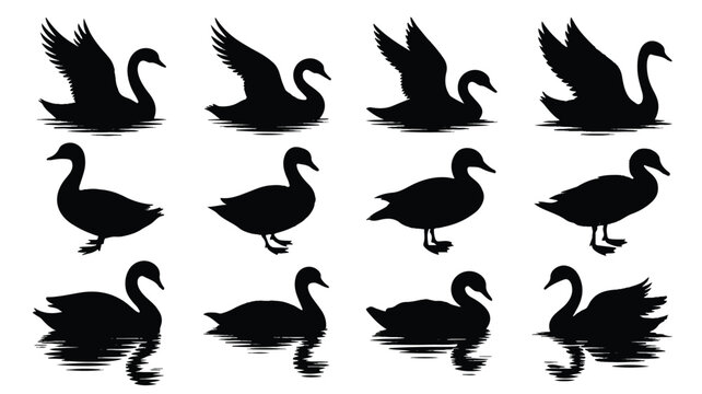 A set of 12 black and white silhouette illustrations of waterfowl arranged in three rows