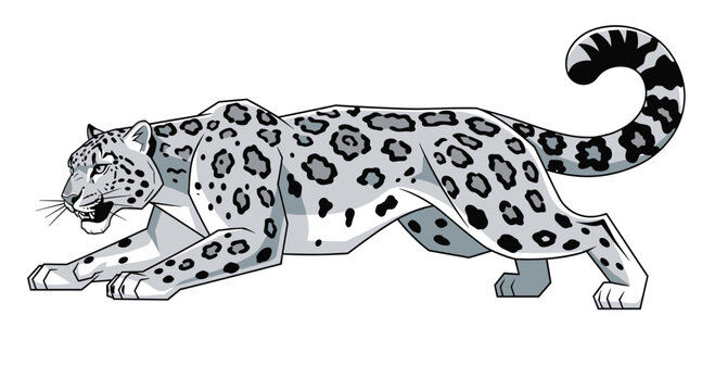 Dynamic graphic illustration of a snow leopard in a stealthy, crouching posture, highlighting its distinctive spotted coat and powerful physique against a white background.