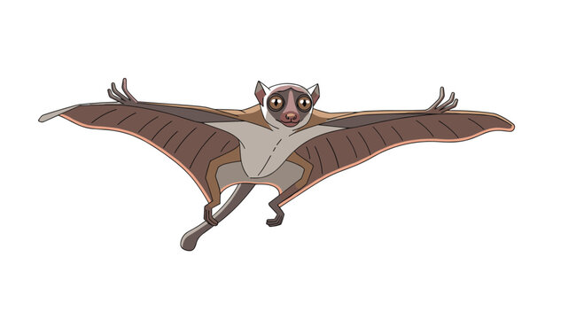 Adorable cartoon-style vector illustration of a Malayan colugo, or flying lemur, in mid-glide, showcasing its unique patagium and large eyes on a white background.