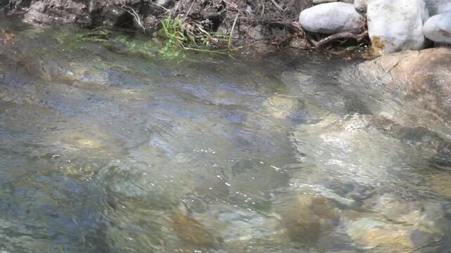 Powerful Stream Water Flow with Turbulence and Splashes Over Rocks