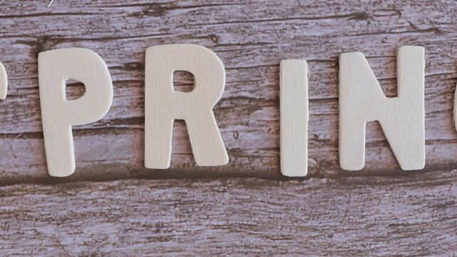 wonder letters text spring