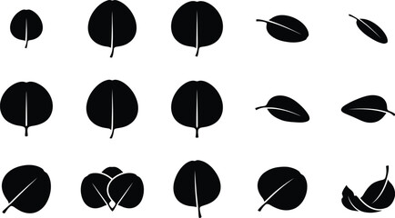 Minimalist eucalyptus leaf silhouette set, black botanical foliage icons, 15 organic plant leaf vector elements for logo design and wedding stationery © Insa Batool