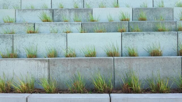 Concrete tiered planters with ornamental grass on outdoor steps