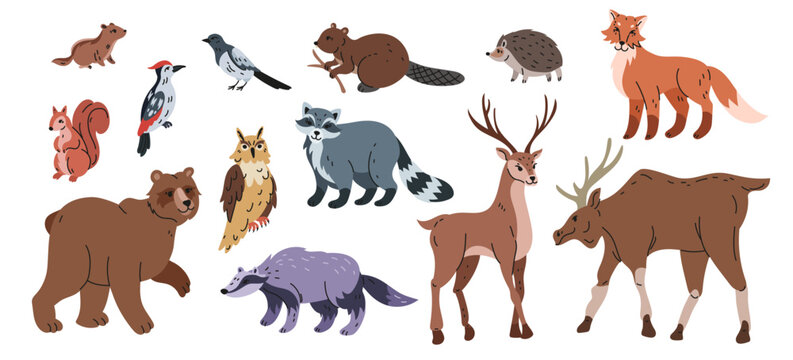 Animal forest. Mammals in woods. Deer, fox, raccoon in wild fauna. Zoo cartoon. Woodland character, cute mascot at tree. Drawing children. Vector tidy biology cartoon flat isolated illustration set