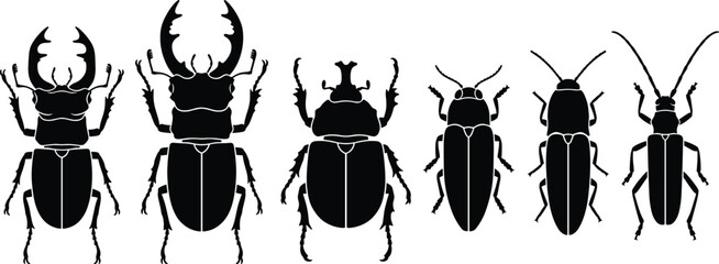 Beetle and stag beetle silhouette set with rhinoceros beetle and insects collection, isolated vector illustration © VectoVerse