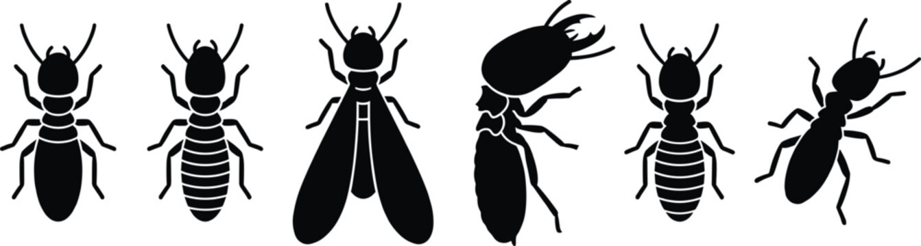 Termite Castes and Life Stages Set, CAD Drawing Flat Vector Illustration