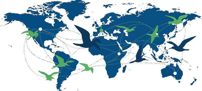 Global bird migration map vector, world map with flying birds and flight paths, ecological nature conservation concept, blue and green earth illustration