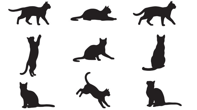 Cat silhouette icons set showing walking, sitting, standing, and jumping poses with bold black vector shapes