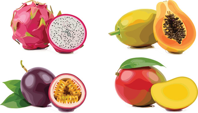 Vector set of exotic tropical fruits including dragon fruit papaya passion fruit and mango with sliced halves for healthy organic juice and summer food concepts.