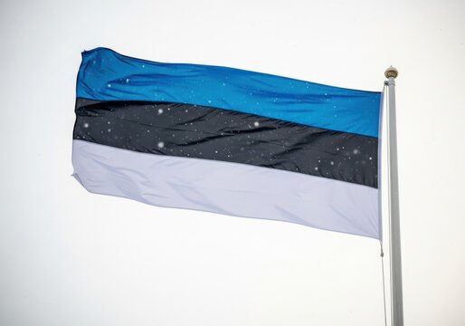 Estonian flag waving in the wind against a cloudy sky with falling snow