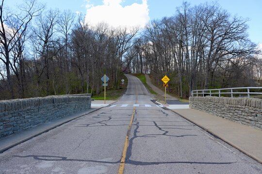 The empty road in the woods on a sunny day.