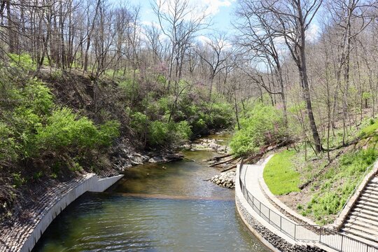 The flowing creek in the woods on a sunny day.