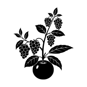 Blackberry Raspberry Plant Silhouette Vector Illustration with Berries and Leaves