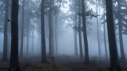 Fototapeta premium 76. A beautiful photorealistic background of a misty foggy forest at dawn, tall thin tree trunks receding into atmospheric haze, soft cool blue and grey tones, ethereal mystical quality, the perfect d