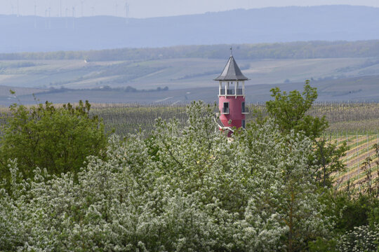 rheinhessische fr&uuml;hlingslandschaft