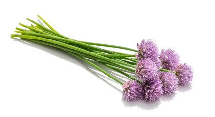 Fototapeta premium Vibrant Bunch of Fresh Chives with Purple Blooms, Perfect for Culinary and Gardening Enthusiasts Concept Delicious Food