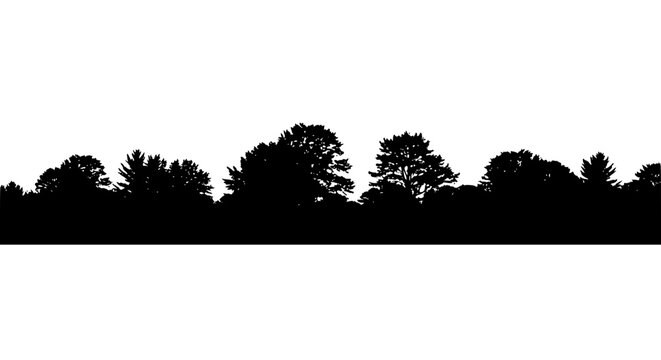 Black Tree Line Silhouette Isolated on White Background