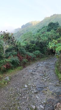 Cerro Kennedy - Santa Marta, Colombia