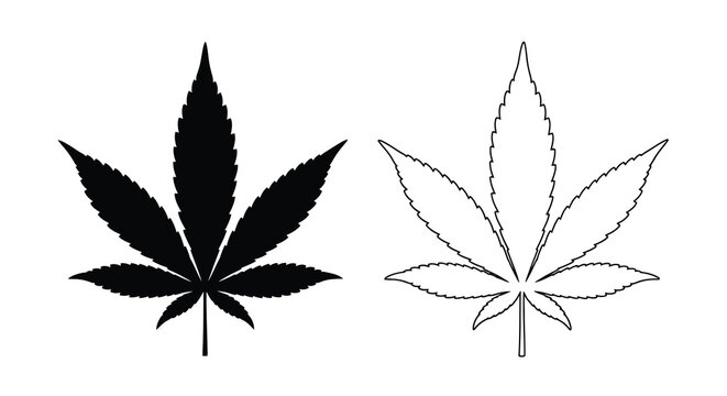 cannabis leaf silhouette and outline high quality professional