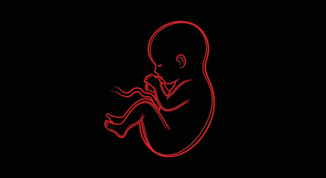 Neon red glowing line art of a human fetus.