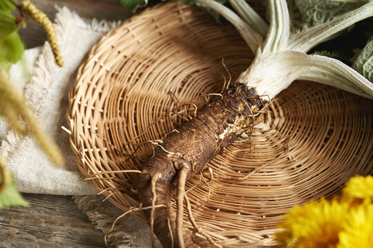 Burdock root on a table