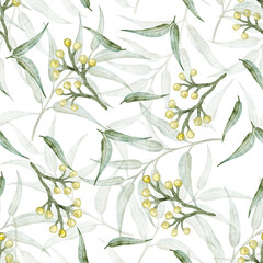 A beautiful watercolor seamless pattern features Australian eucalyptus leaves and yellow gum nuts on a white background. This botanical design is perfect for fabric, wallpaper, textiles, packaging, we © Evgeniya Sheydt