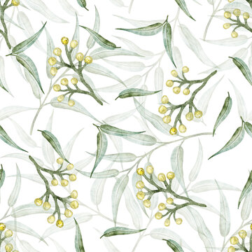 A beautiful watercolor seamless pattern features Australian eucalyptus leaves and yellow gum nuts on a white background. This botanical design is perfect for fabric, wallpaper, textiles, packaging, we