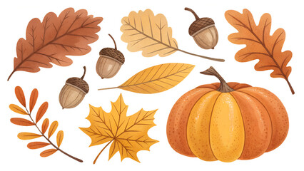 Fototapeta premium autumn clipart set, leaves, pumpkin, acorns, warm tones, isolated on transparent background