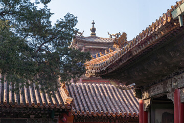 Obraz premium Forbidden City, Beijing China