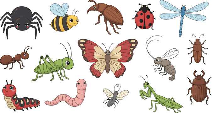 Cartoon insect collection set with bugs butterfly spider beetle bee and grasshopper vector illustration
