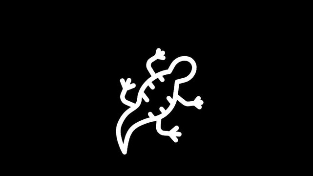 Simple white outline of a lizard on a black background, minimalist design