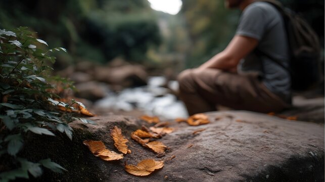 A figure contemplating beside a flowing stream amidst the textured earth and golden leaves of a temperate forest