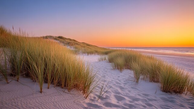 serene beach pathway through sand dunes at sunset