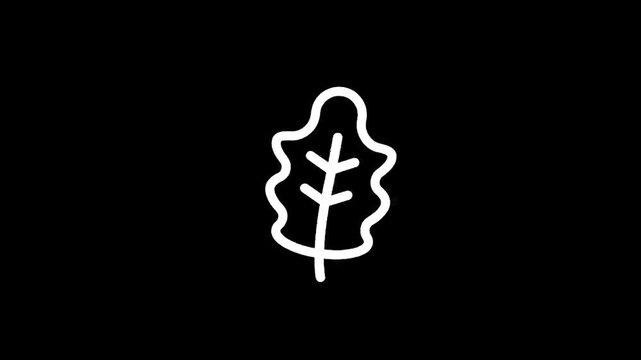 Simple white outline of a leaf on a black background, minimalist design