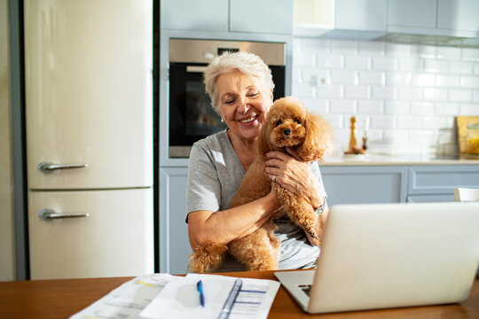 Smiling senior woman with poodle working on laptop at home