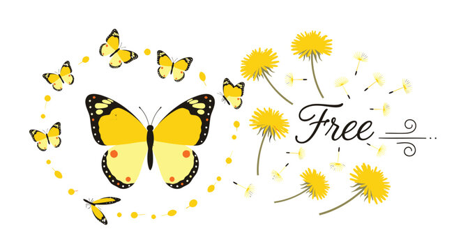 Butterfly, dandelion, freedom icons, yellow, vector graphics
