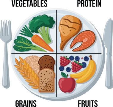 Balanced Nutrition Plate with Food Groups for Healthy Eating Vector Illustration