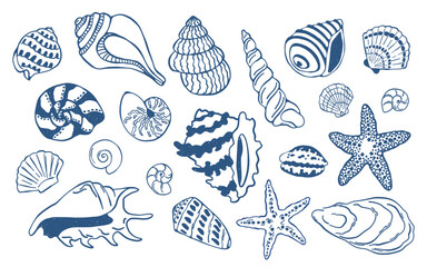 Obraz premium Vector set of hand drawn seashells in doodle style. Marine collection with conch, scallop and starfish elements for beach design, textile prints, packaging, coastal decor and summer themed graphics