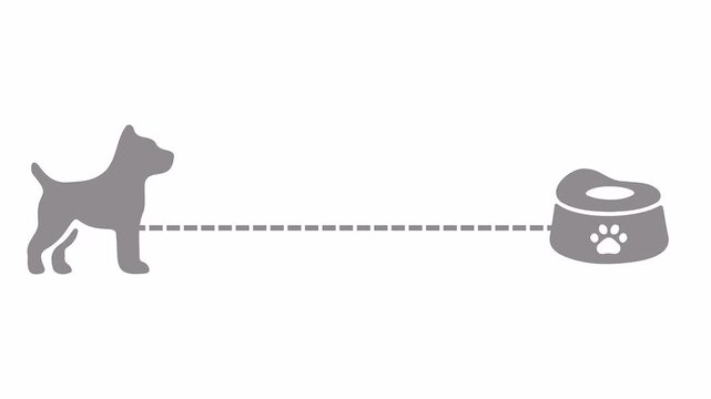 Dog food pointer animation, pet feeding indicator with directional line showing canine meal target concept, isolated with white background and green screen chroma key