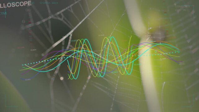 Dotted cyan trajectory appearing, colorful waves moving across web and stem visualizing vibrations