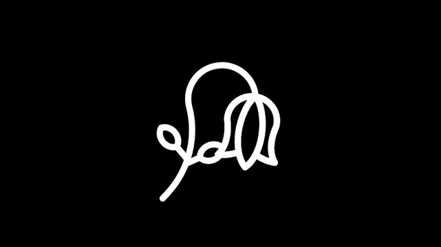 Minimalist white line art of a delicate flower on a black background