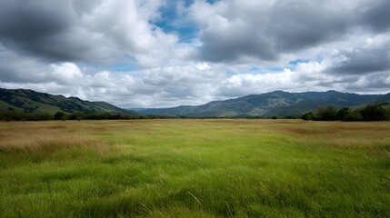 Obraz premium Expansive open meadow beneath a dramatic sky of rolling hills and billowing clouds
