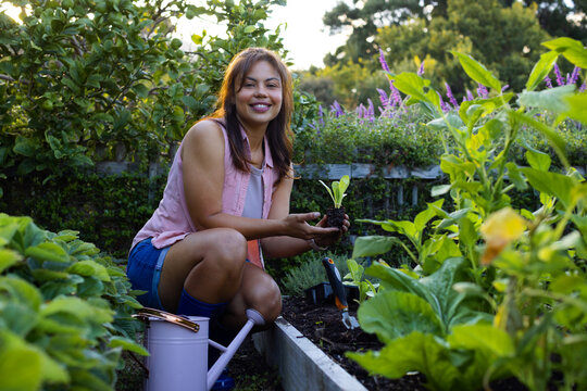 African American woman kneeling at raised garden bed planting seedling, trowel and tray nearby