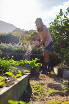 Woman wearing sleeveless pink top watering leafy vegetables with pale watering can on gravel path