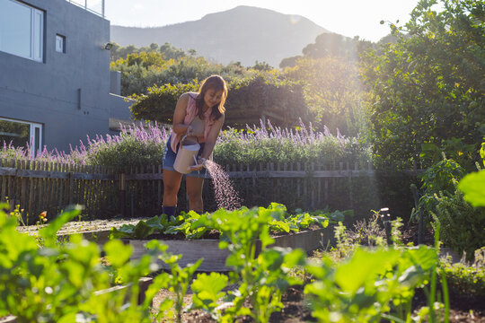 Woman standing in garden watering raised beds with white watering can, wearing denim shorts, boots